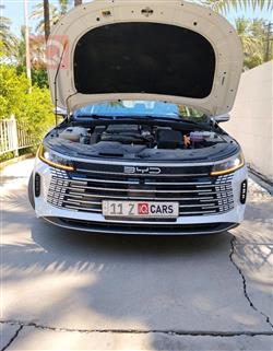 BYD Destroyer 05